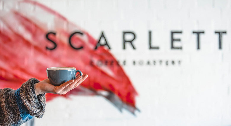  Tasting Notes: June 2020 Coffees