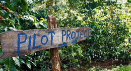 Coffea Circulor & Understanding The Coffee Value Chain