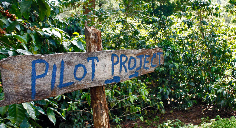  Coffea Circulor & Understanding The Coffee Value Chain