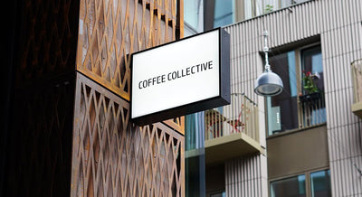  Tasting Notes: July 2023 Coffees