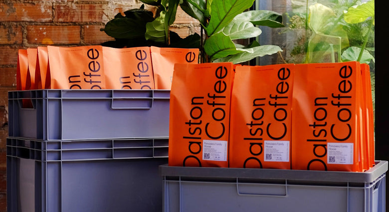 Tasting Notes: July 2025 Coffees