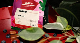  Tasting Notes: April 2022 Coffees