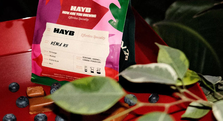  Tasting Notes: April 2022 Coffees