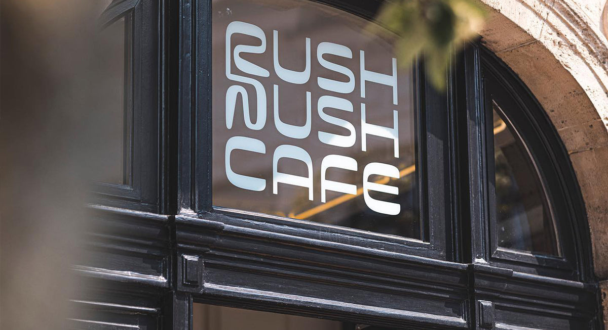  Tasting Notes: August 2023 Coffees