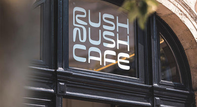  Tasting Notes: August 2023 Coffees