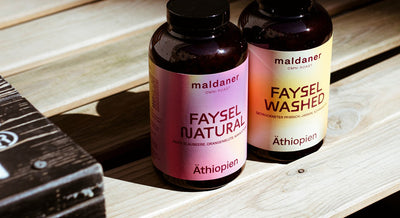  Tasting Notes: November 2025 Coffees