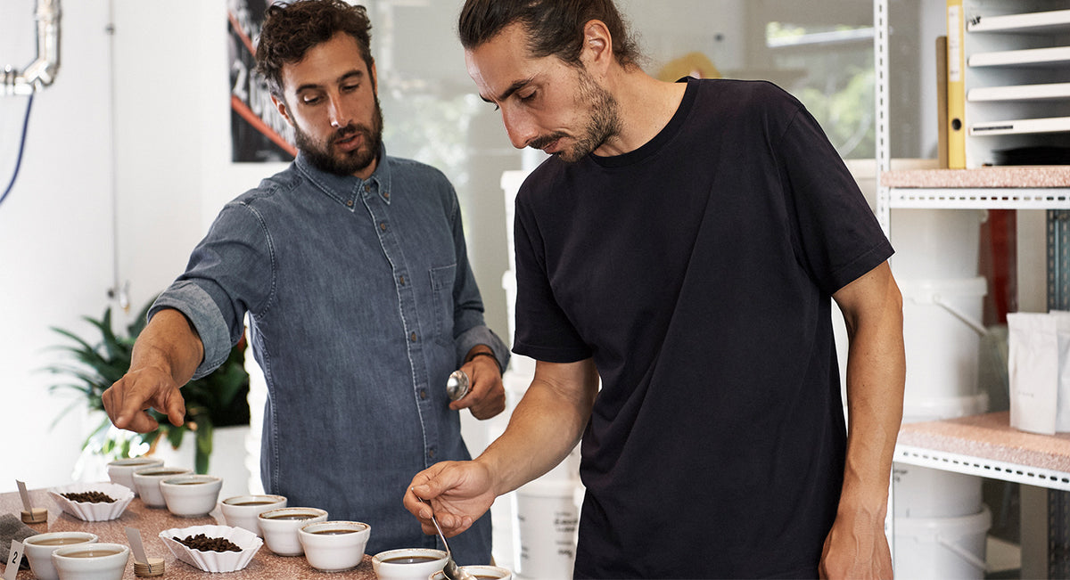  Tasting Notes: April 2021 Coffees