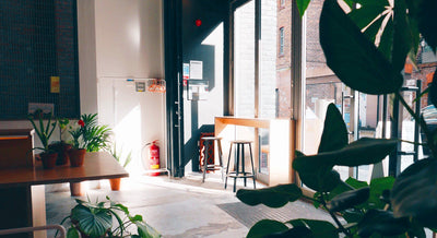  Coffeehouse Review: Mother Espresso, Liverpool