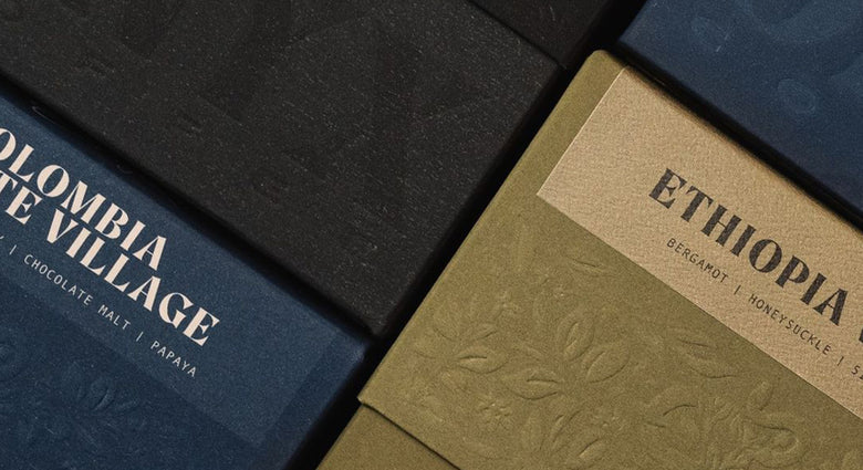  Tasting Notes: February 2022 Coffees