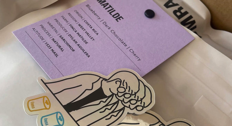 Tasting Notes: August 2025 Coffees