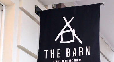  Tasting Notes: July 2022 Coffees