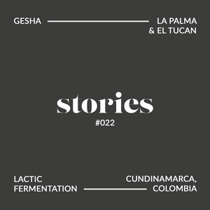 GUSTATORY Stories Colombia La Palma y El Tucan Lactic Gesha Coffee (#022)
