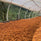 GUSTATORY Stories Colombia La Palma y El Tucan Lactic Gesha Coffee (#022)