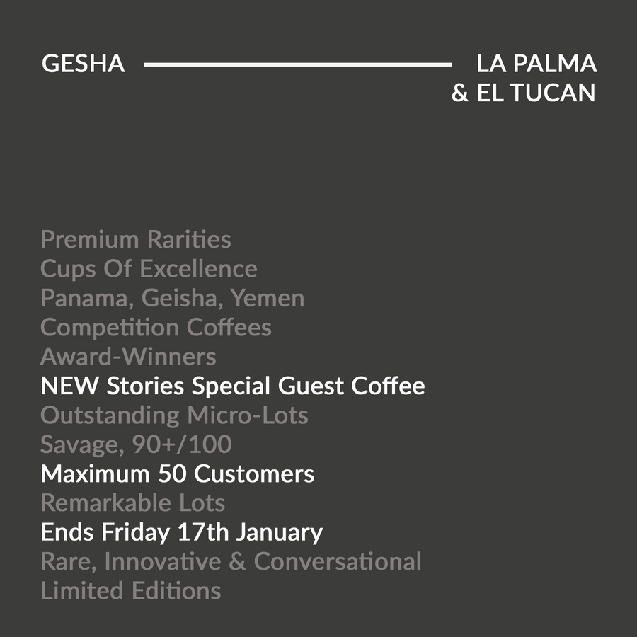 GUSTATORY Stories Colombia La Palma y El Tucan Lactic Gesha Coffee (#022)