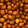 GUSTATORY Stories Colombia La Palma y El Tucan Lactic Gesha Coffee (#022)