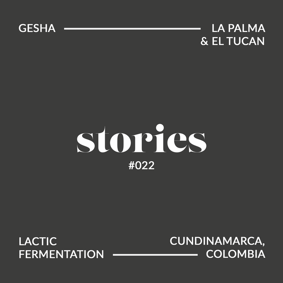 GUSTATORY Stories Colombia La Palma y El Tucan Lactic Gesha Coffee (#022)