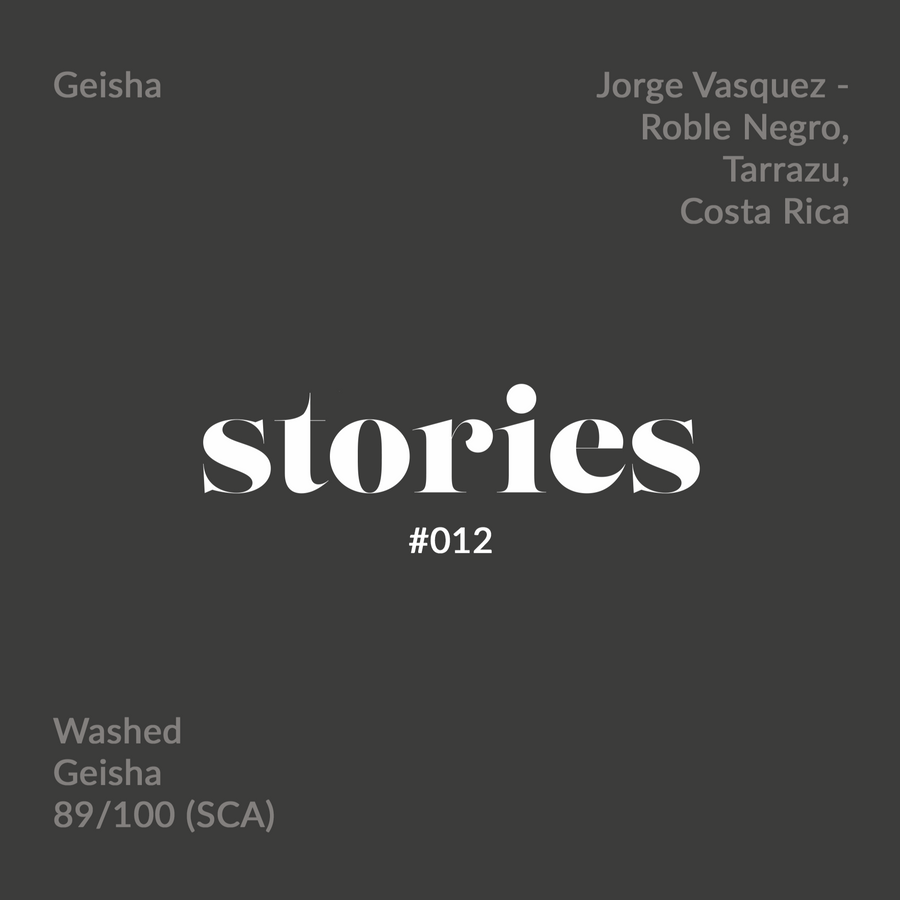 GUSTATORY Stories Jorge Vasquez Geisha Washed Coffee