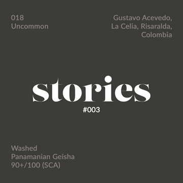 GUSTATORY Stories Colombia Geisha 018 Coffee (#003)