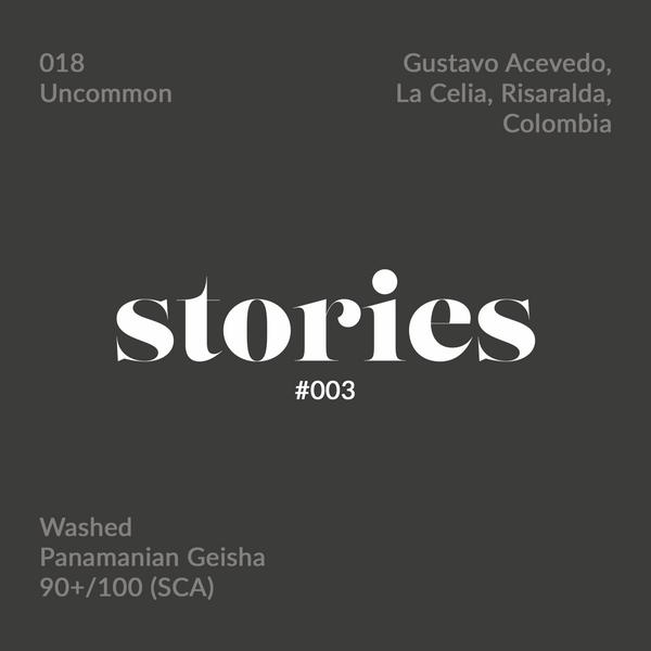 GUSTATORY Stories Colombia Geisha 018 Coffee (#003)