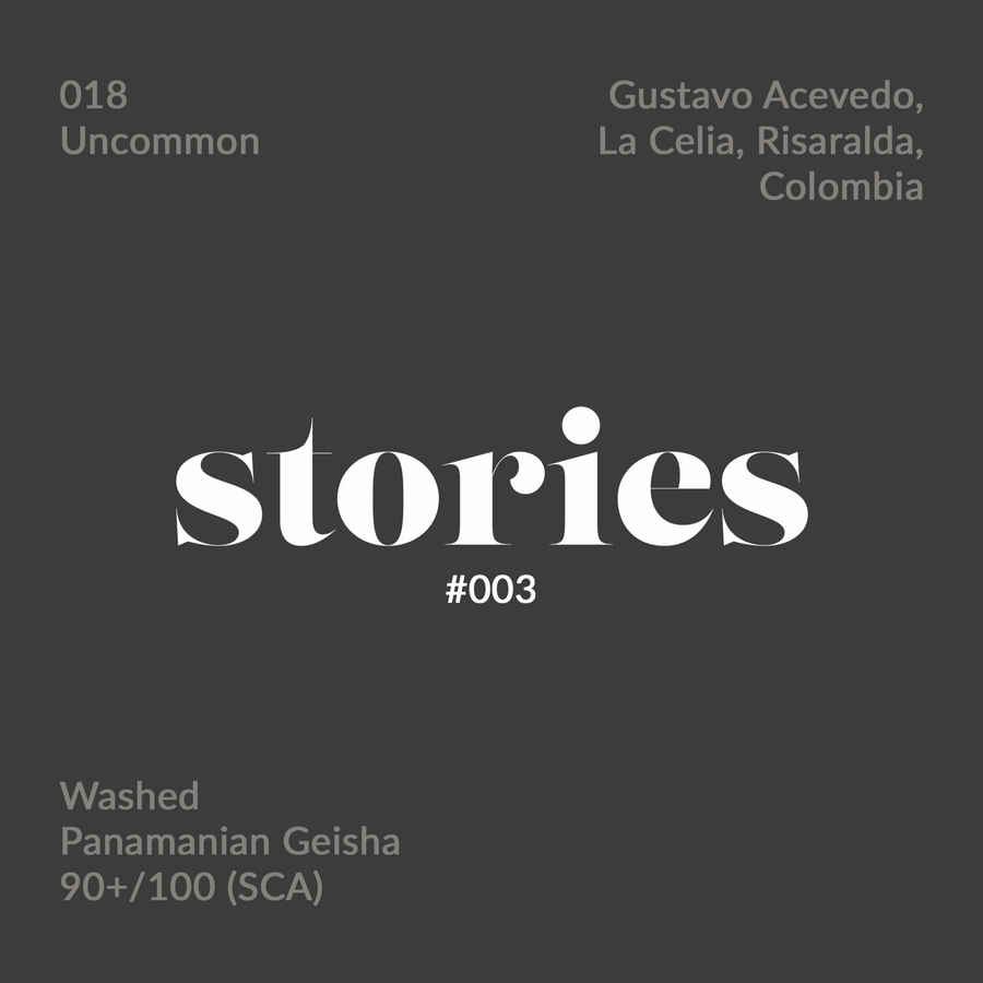 GUSTATORY Stories Colombia Geisha 018 Coffee (#003)