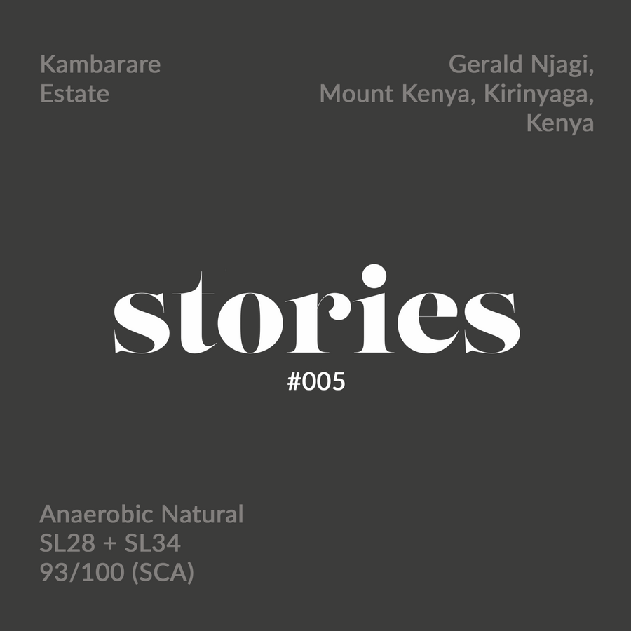 GUSTATORY Stories Kenya Kambarare Coffee (#005)