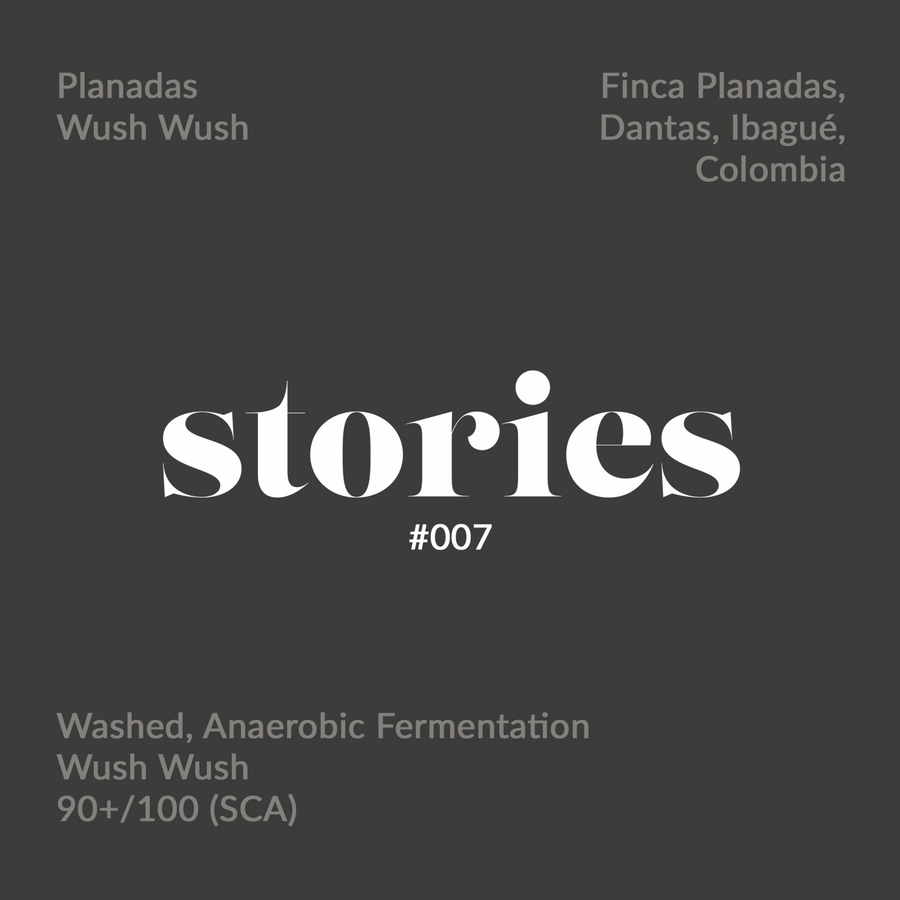 GUSTATORY Stories Colombia Planadas Wush Wush Coffee (#007)