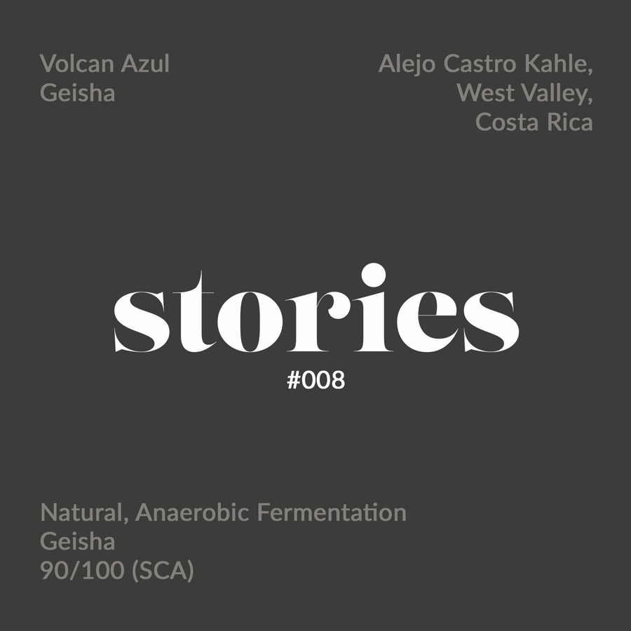 GUSTATORY Stories Costa Rica Volcan Azul Geisha Coffee (#008)